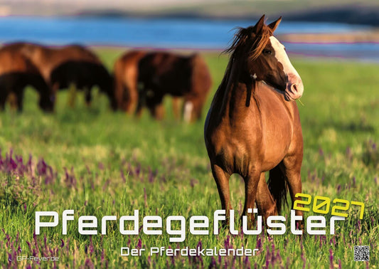 Pferdegeflüster - Der Pferdekalender 2027 (DIN A2, 42 x 59.4 cm)