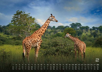 Afrikas Tierwelt Kalender 2027 (DIN A2, 42 x 59.4 cm)