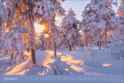 Zauberwälder Kalender 2027 (39 x 58 cm)