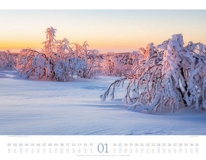 Morgenlicht Kalender 2027 (42 x 54 cm)