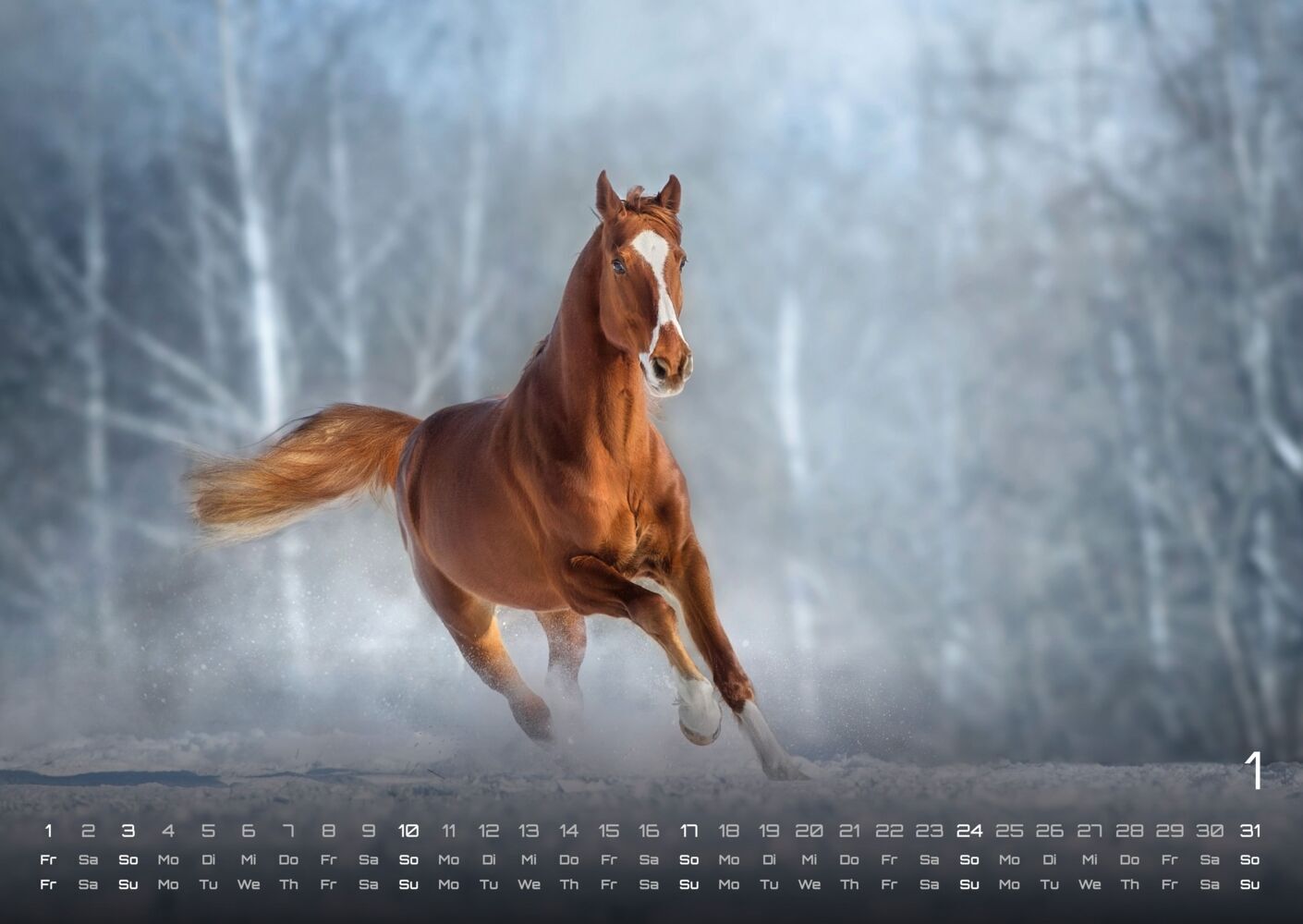 Pferdegeflüster - Der Pferdekalender 2027 (DIN A2, 42 x 59.4 cm)