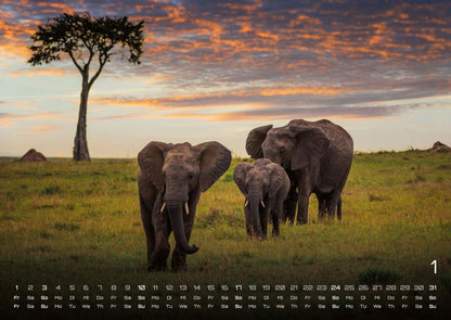 Afrikas Tierwelt Kalender 2027 (DIN A2, 42 x 59.4 cm)