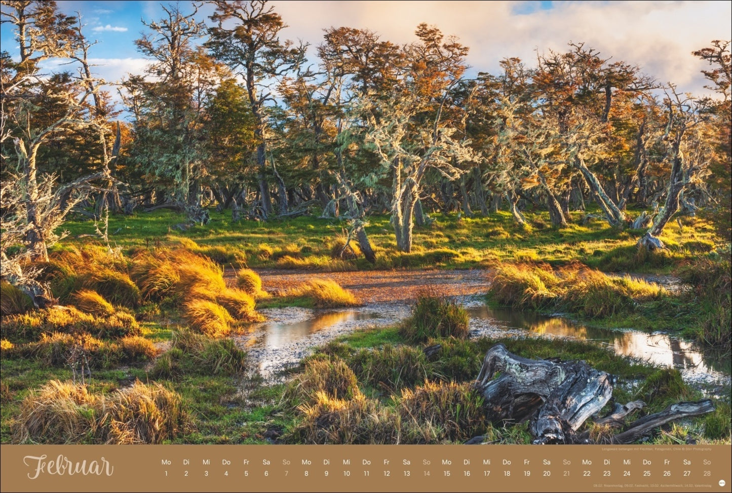 Zauberwälder Kalender 2027 (39 x 58 cm)