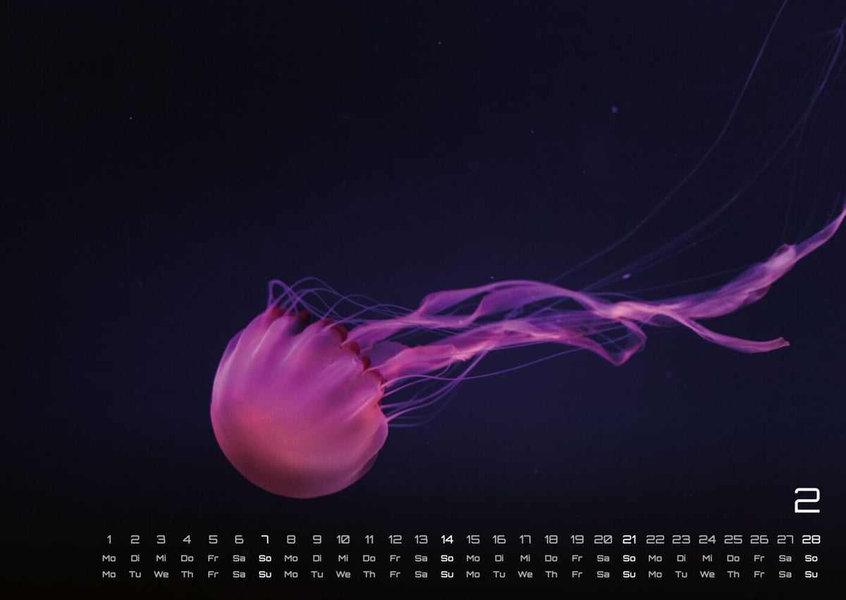 Sealife Kalender 2027 - verborgene Tiefen (DIN A2, 42 x 59.4 cm)