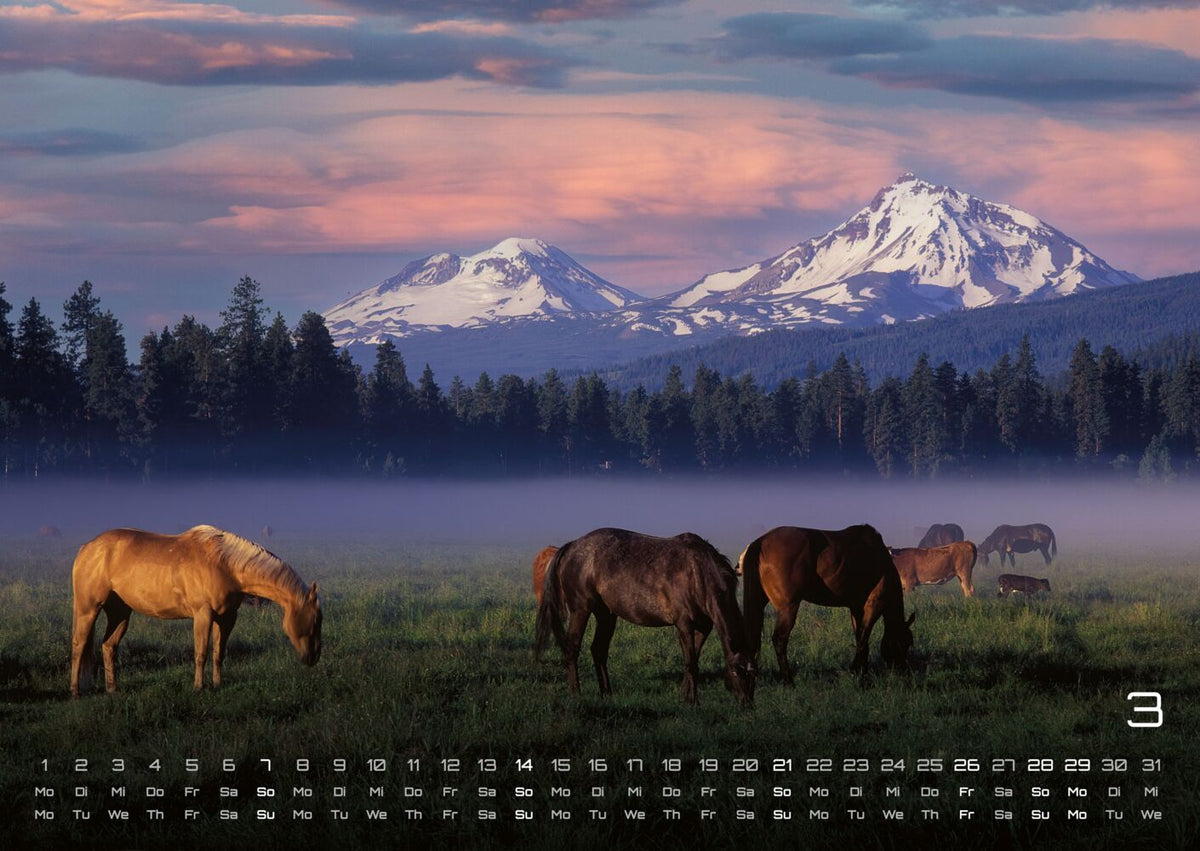 Pferdegeflüster - Der Pferdekalender 2027 (DIN A2, 42 x 59.4 cm)