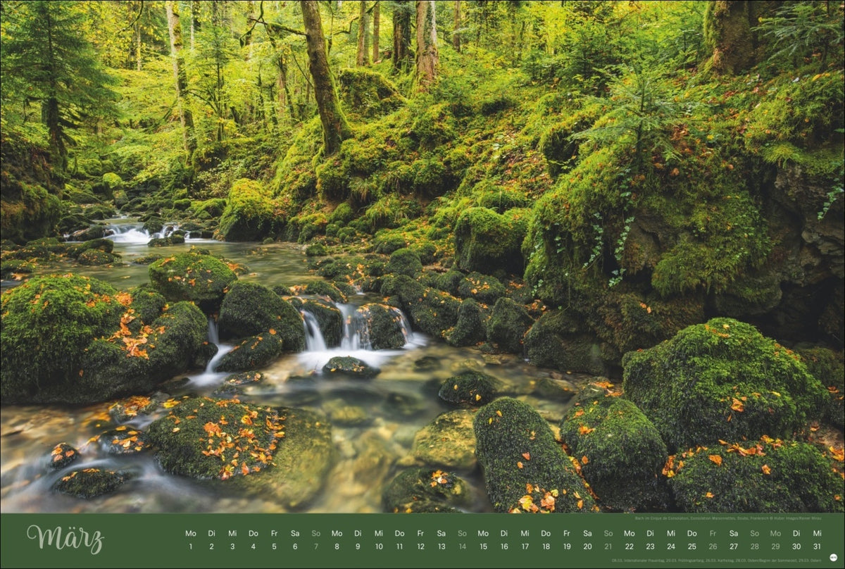 Zauberwälder Kalender 2027 (39 x 58 cm)
