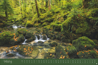 Zauberwälder Kalender 2027 (39 x 58 cm)