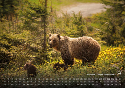Kanada Kalender 2027 - Abenteuer Natur (DIN A2, 42 x 49.4 cm)