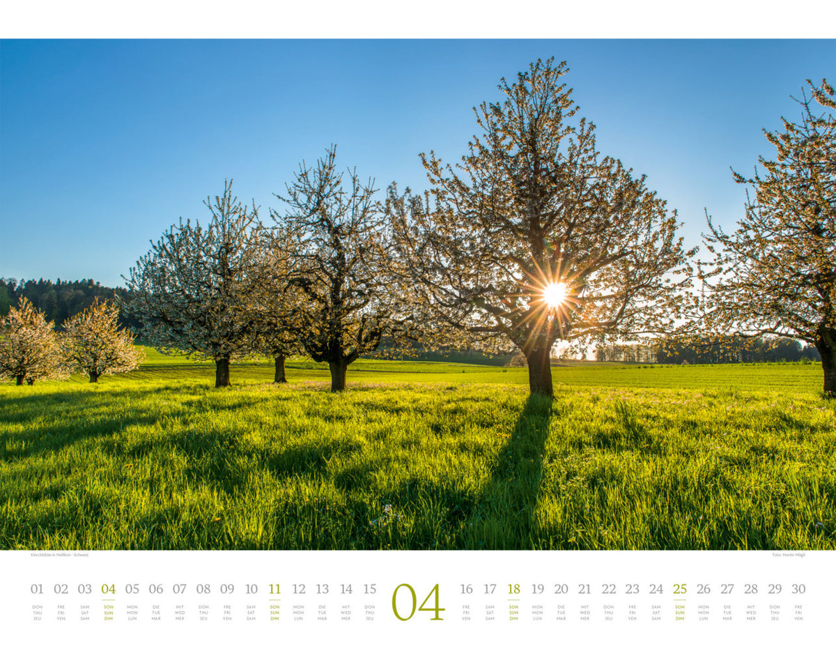 Morgenlicht Kalender 2027 (42 x 54 cm)
