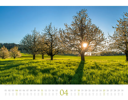 Morgenlicht Kalender 2027 (42 x 54 cm)