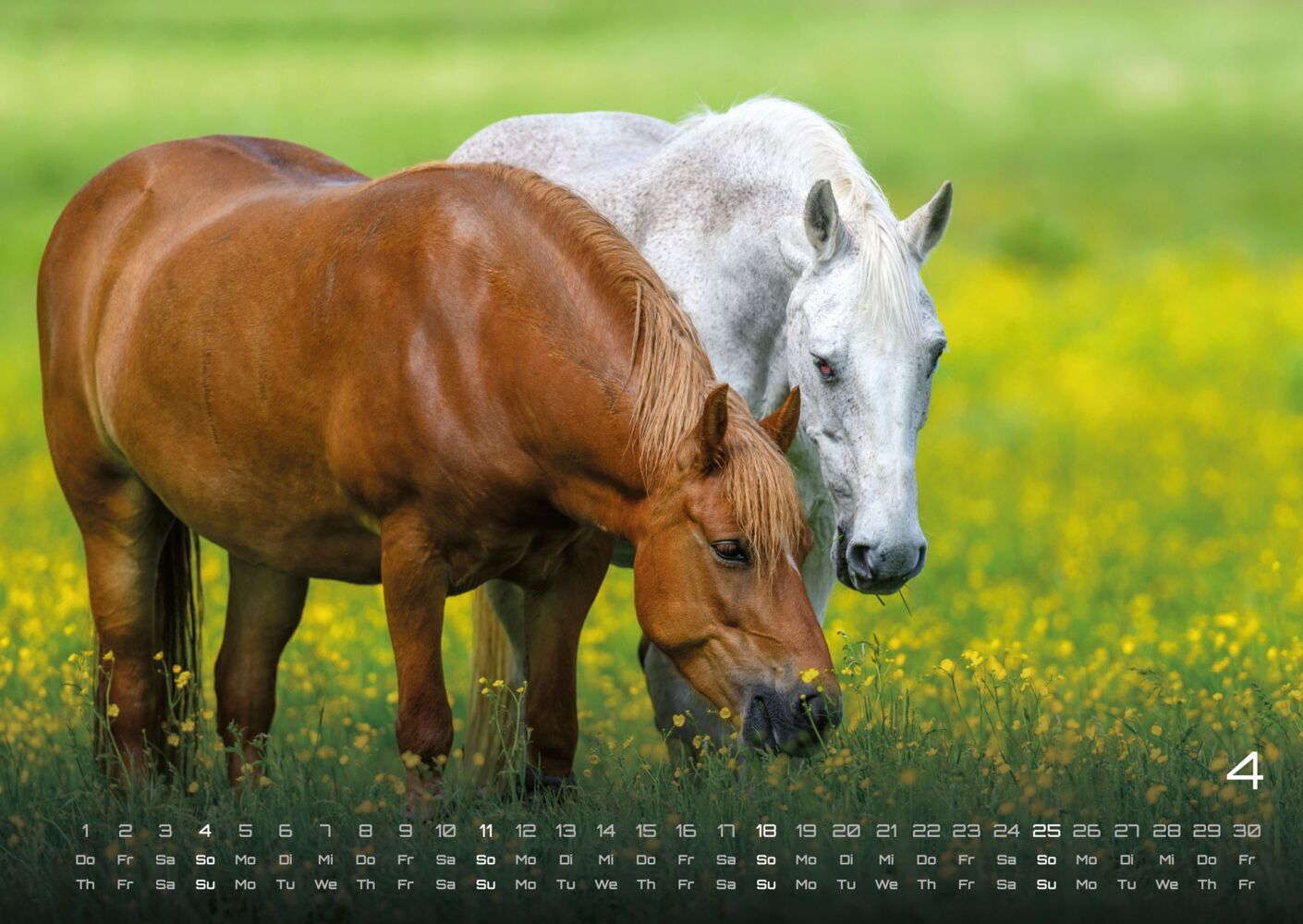 Pferdegeflüster - Der Pferdekalender 2027 (DIN A2, 42 x 59.4 cm)