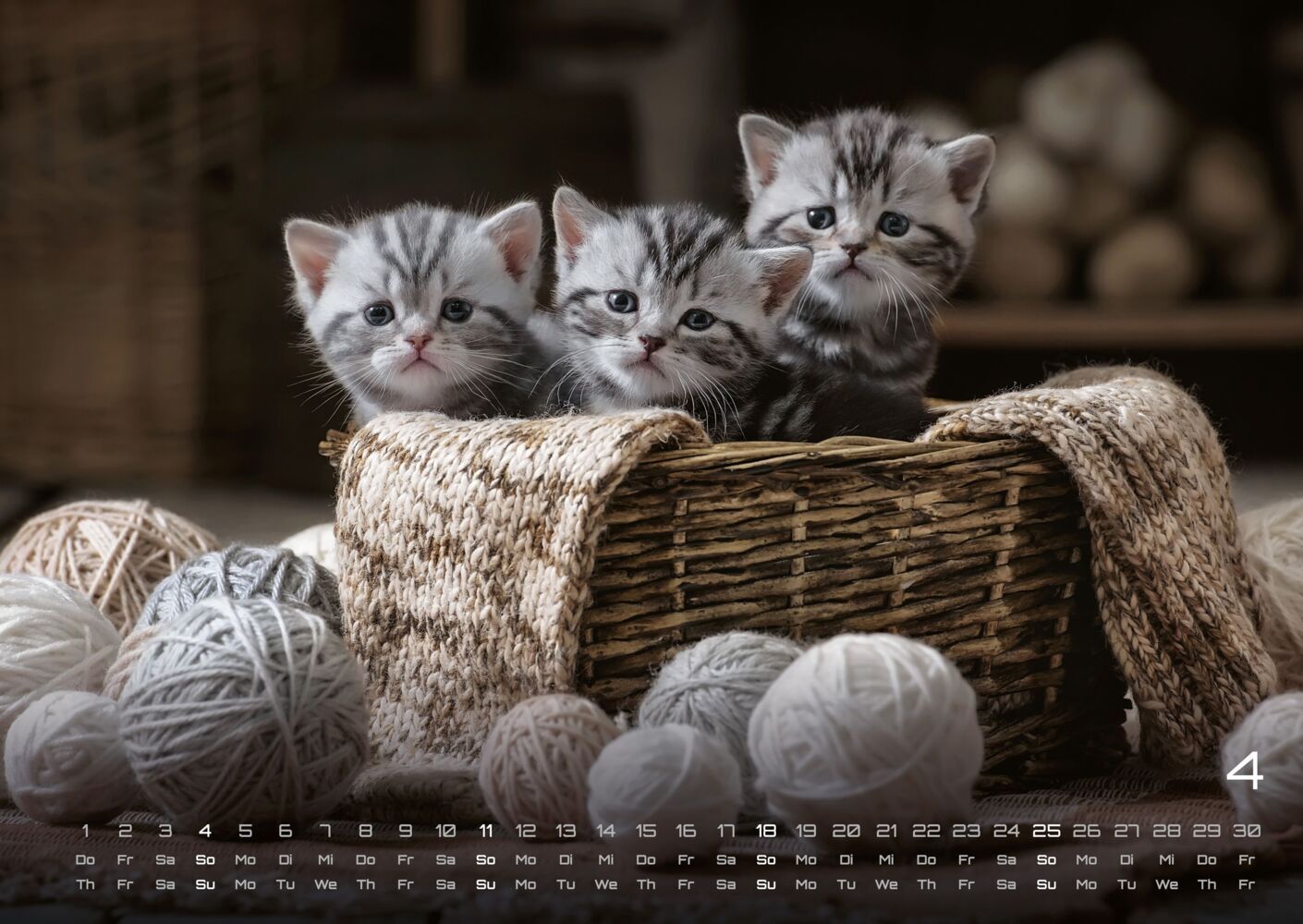 Miau Kids: kleine Tiger ganz gross - Katzenkalender 2027 (DIN A2, 42 x 59.4 cm)