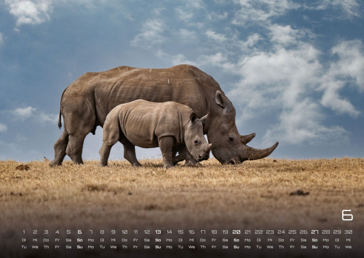 Afrikas Tierwelt Kalender 2027 (DIN A2, 42 x 59.4 cm)