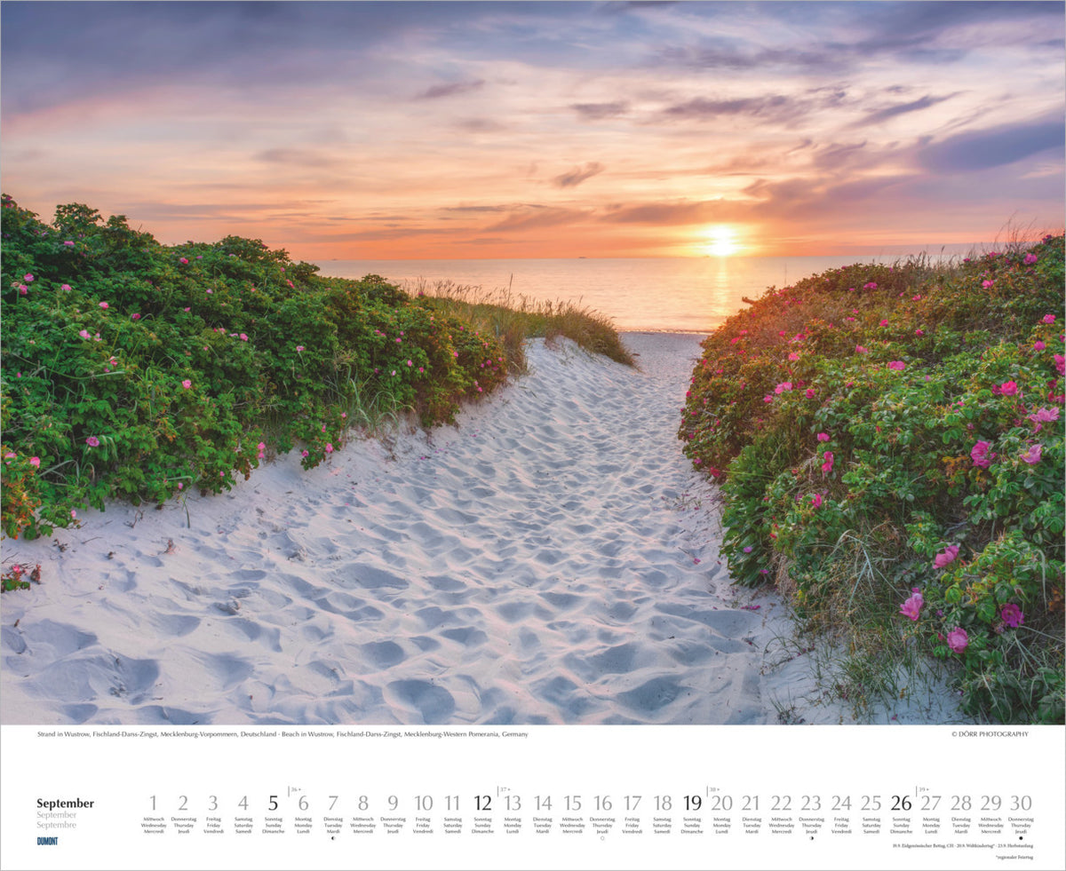 Wege in die Natur Kalender 2027 (42 x 52 cm)