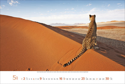 Sehnsuchtsorte Kalender 2027 (39 x 58 cm)