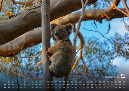 Australien Kalender 2027- das Land der Kängurus (DIN A2, 42 x 59.4 cm)