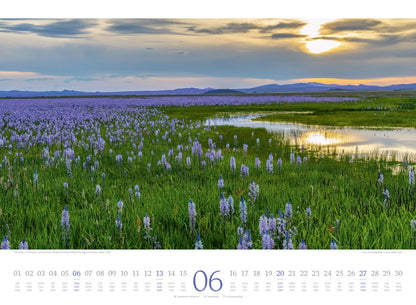 Harmonie Kalender 2027 (33 x 45 cm)