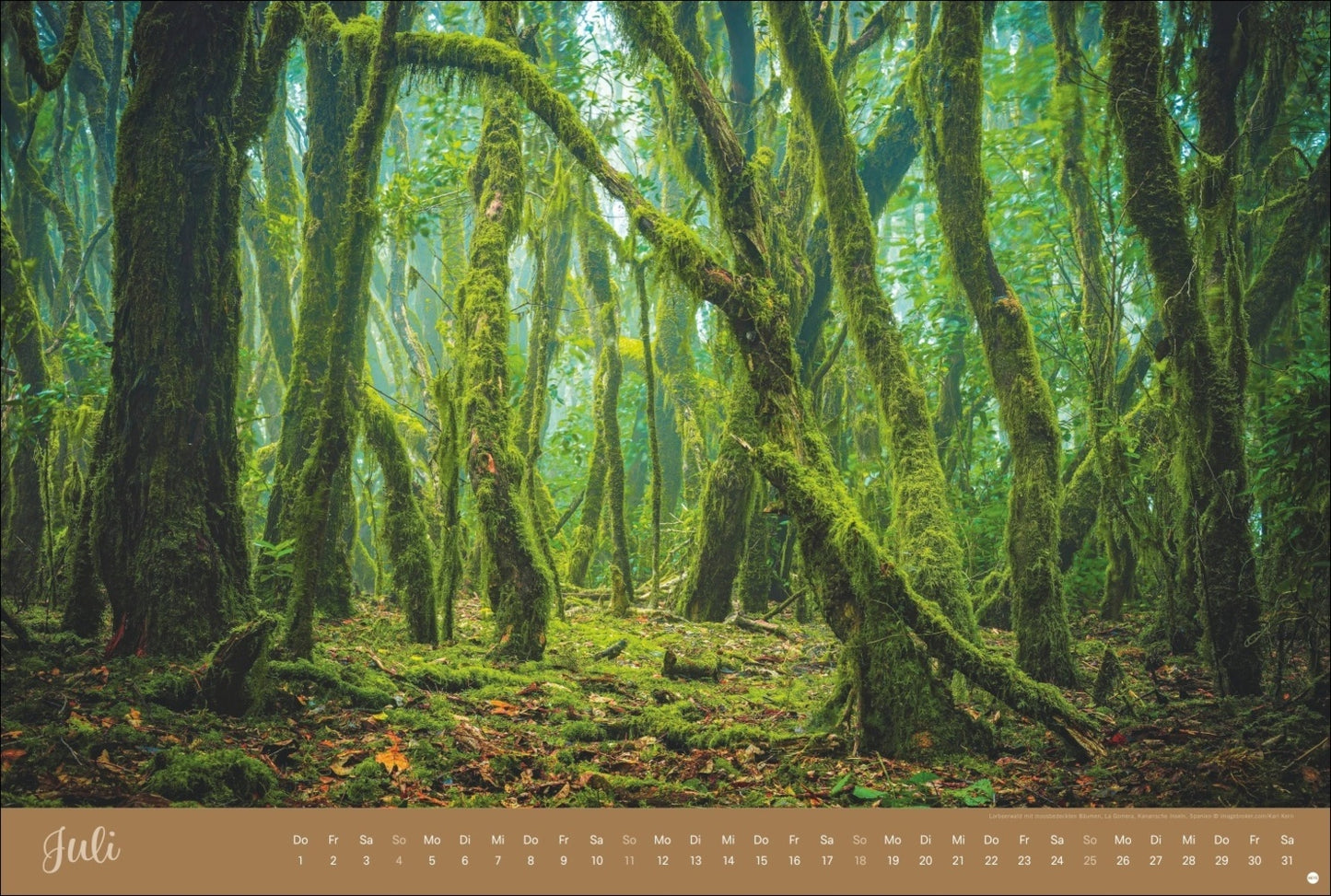 Zauberwälder Kalender 2027 (39 x 58 cm)