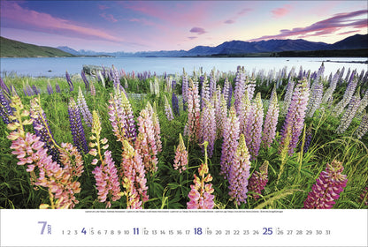 Sehnsuchtsorte Kalender 2027 (39 x 58 cm)