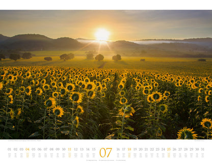 Morgenlicht Kalender 2027 (42 x 54 cm)
