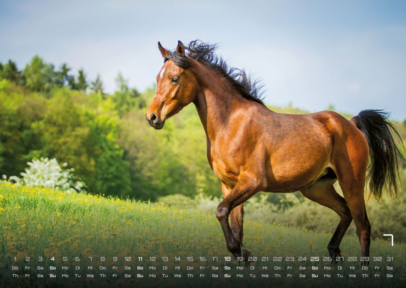 Pferdegeflüster - Der Pferdekalender 2027 (DIN A2, 42 x 59.4 cm)