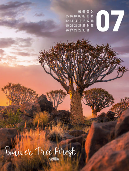 Wonderful World Kalender 2027 (66 x 24 cm)