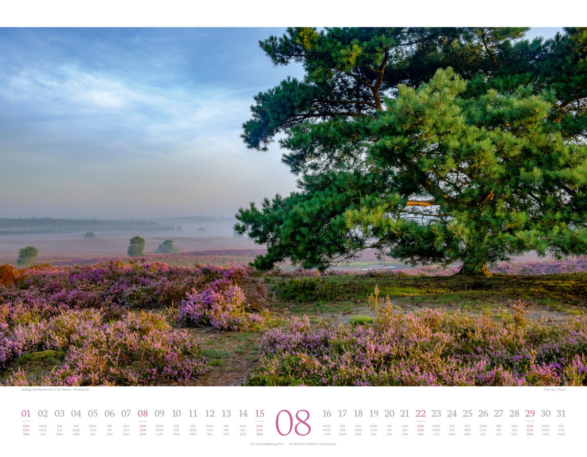 Morgenlicht Kalender 2027 (42 x 54 cm)