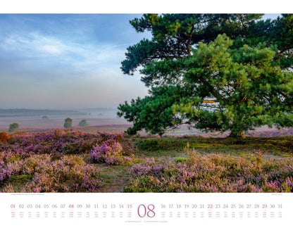 Morgenlicht Kalender 2027 (42 x 54 cm)