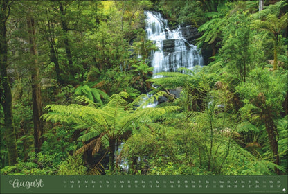 Zauberwälder Kalender 2027 (39 x 58 cm)