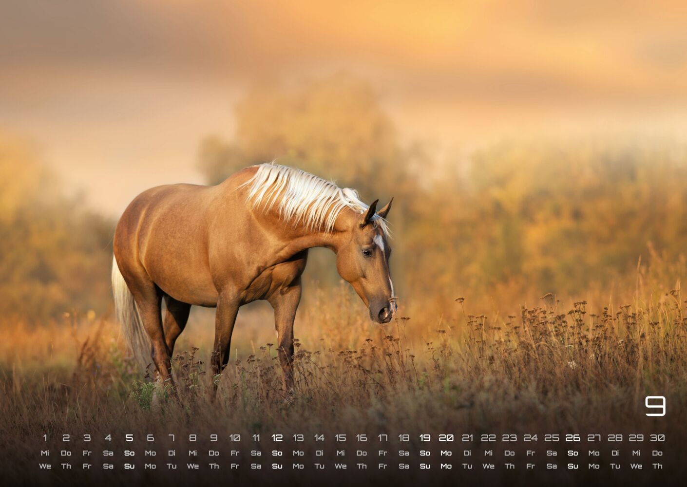 Pferdegeflüster - Der Pferdekalender 2027 (DIN A2, 42 x 59.4 cm)