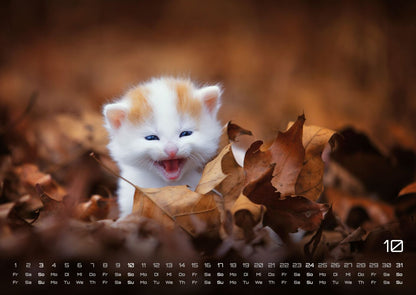 Miau Kids: kleine Tiger ganz gross - Katzenkalender 2027 (DIN A2, 42 x 59.4 cm)