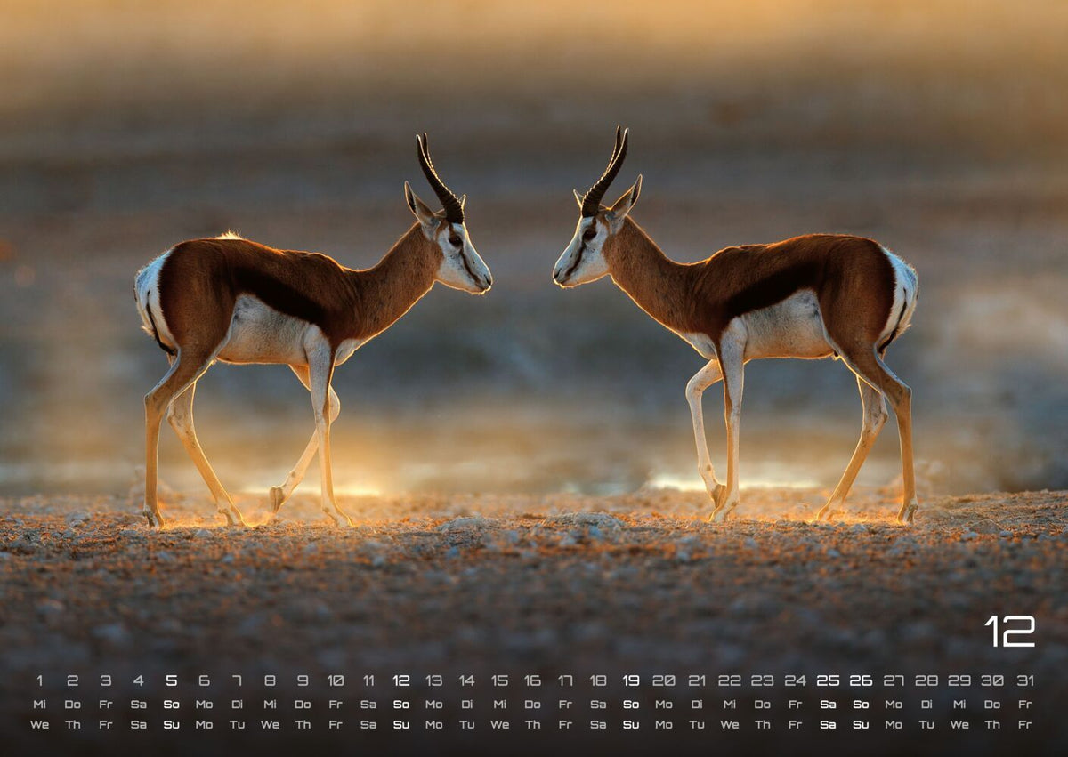 Afrikas Tierwelt Kalender 2027 (DIN A2, 42 x 59.4 cm)