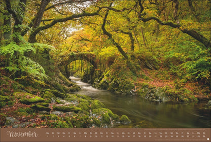 Zauberwälder Kalender 2027 (39 x 58 cm)