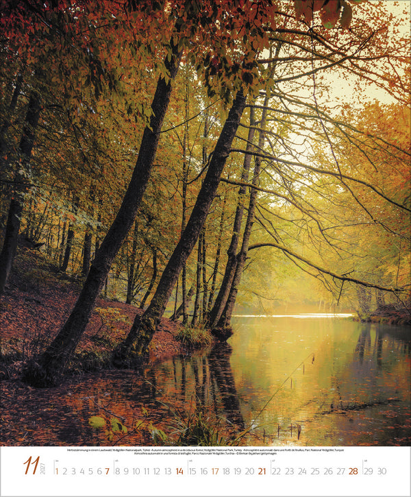 Bezaubernde Augenblicke in der Natur 2027 (55 x 45 cm)