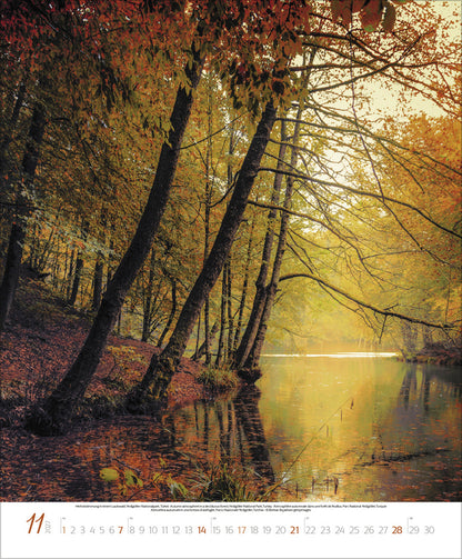 Bezaubernde Augenblicke in der Natur 2027 (55 x 45 cm)