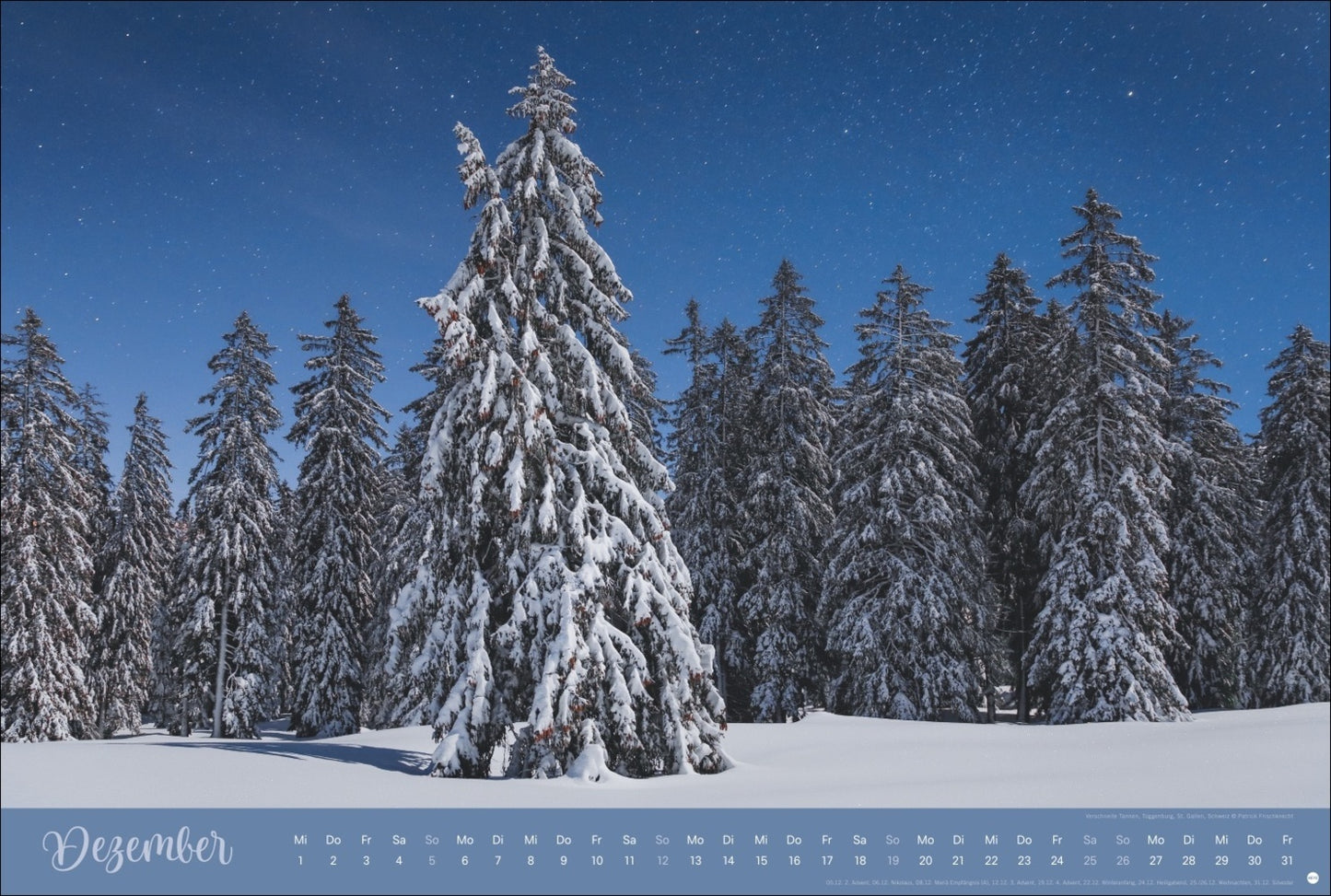 Zauberwälder Kalender 2027 (39 x 58 cm)