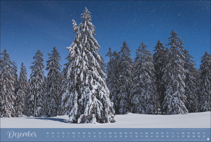 Zauberwälder Kalender 2027 (39 x 58 cm)
