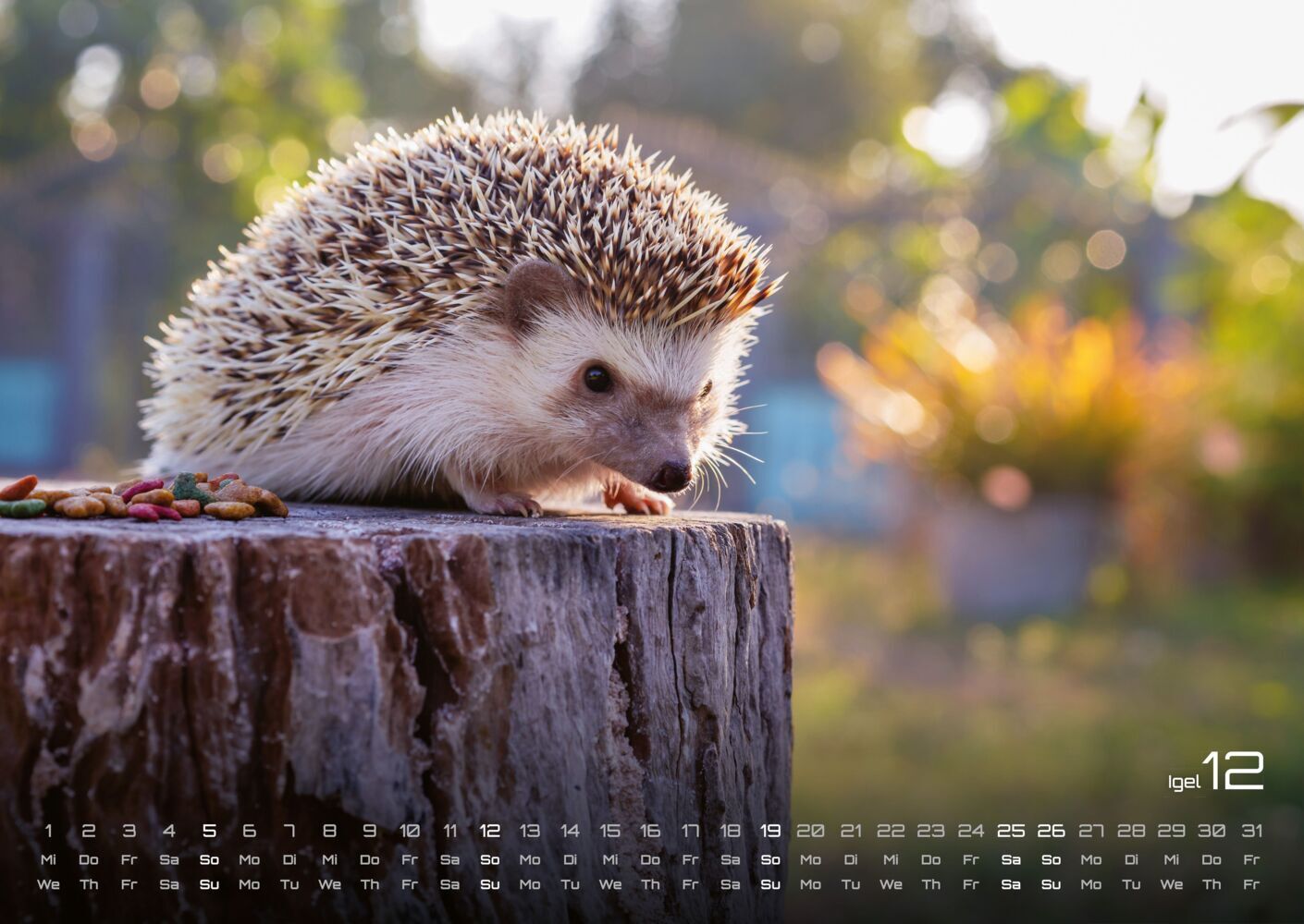 Waldtiere Kalender 2027 - Heimische Waldbewohner (DIN A2, 42 x 59.4 cm)