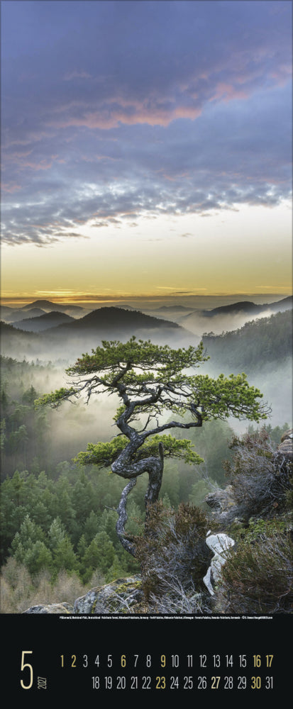 Spirit of Earth Kalender 2027 (69 x 28 cm)