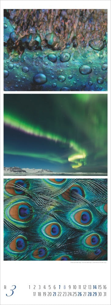 Colours of Nature - Tripletskalender 2027 (69 x 25 cm)