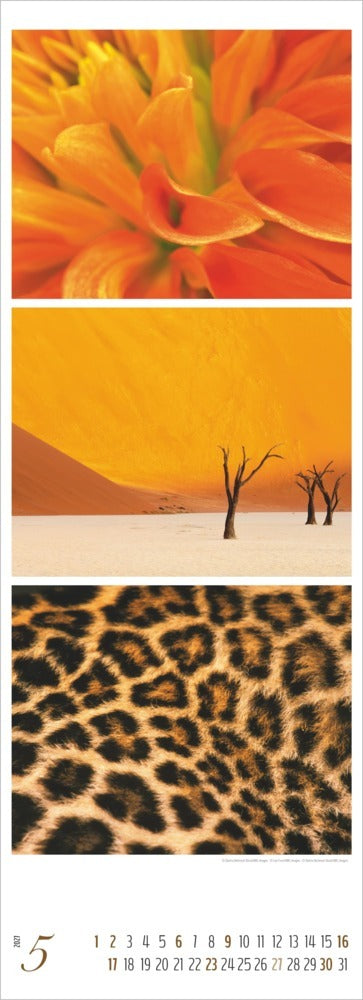 Colours of Nature - Tripletskalender 2027 (69 x 25 cm)