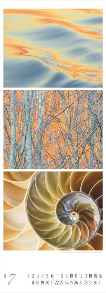 Colours of Nature - Tripletskalender 2027 (69 x 25 cm)