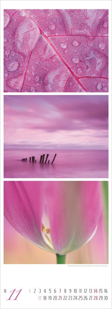 Colours of Nature - Tripletskalender 2027 (69 x 25 cm)