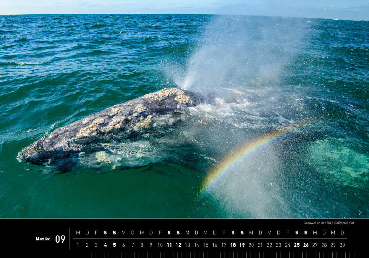 Mexiko Premiumkalender 2027 (33.5 x 50 cm)