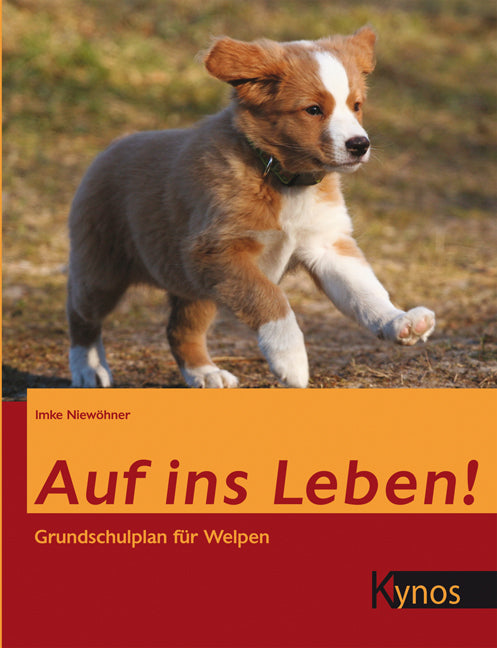 Auf ins Leben! (Imke Niewöhner)