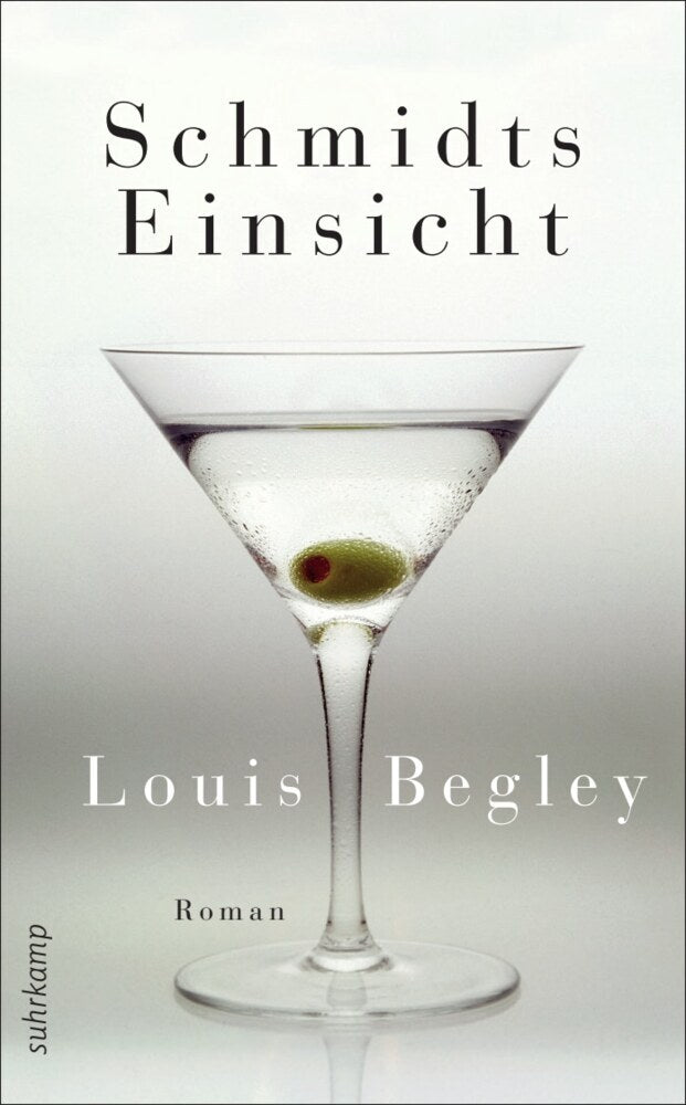 Schmidts Einsicht (Louis Begley)