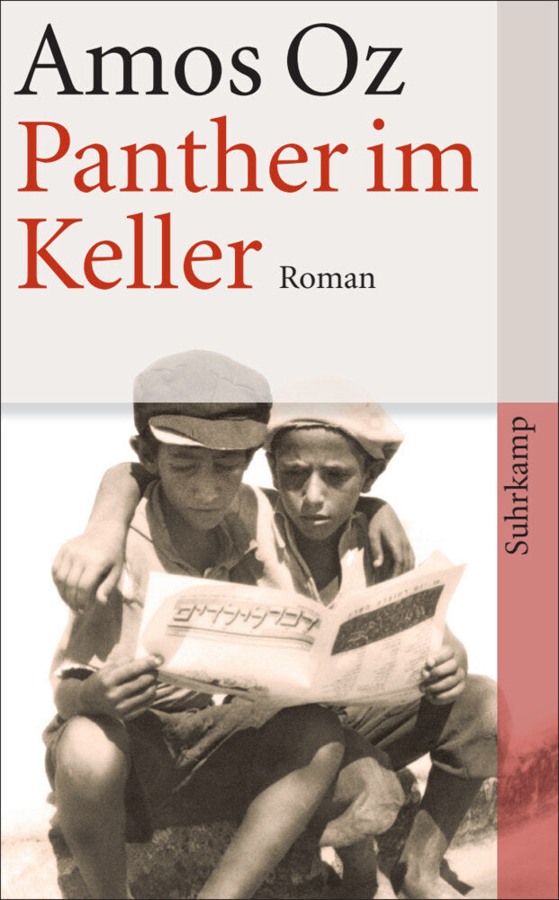 Panther im Keller (Amos Oz)