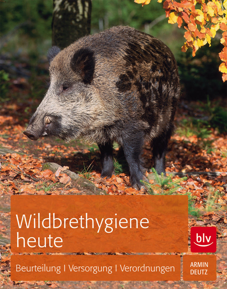 Wildbrethygiene heute (Armin Deutz)