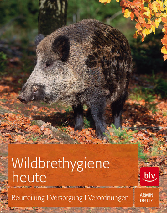 Wildbrethygiene heute (Armin Deutz)