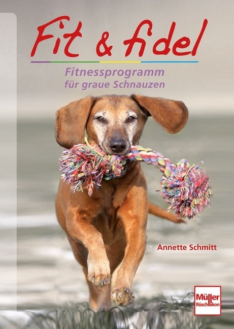 Fit & fidel (Annette Schmitt)